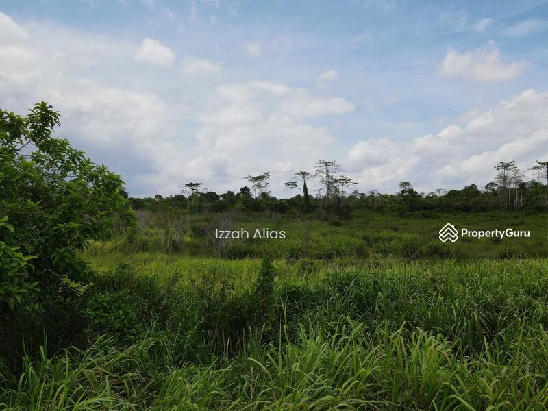 Untuk Dijual - 3 EKAR TANAH PERTANIAN Kubang Laka Ganchong Pekan, Pahang