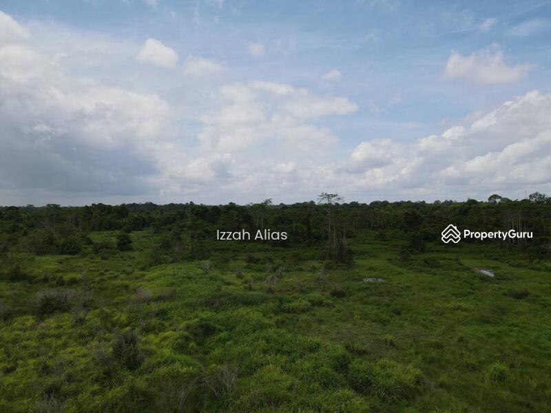 Untuk Dijual - 3 EKAR TANAH PERTANIAN Kubang Laka Ganchong Pekan, Pahang