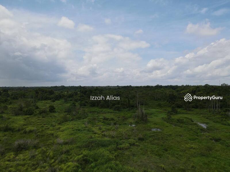 Untuk Dijual - 3 EKAR TANAH PERTANIAN Kubang Laka Ganchong Pekan, Pahang