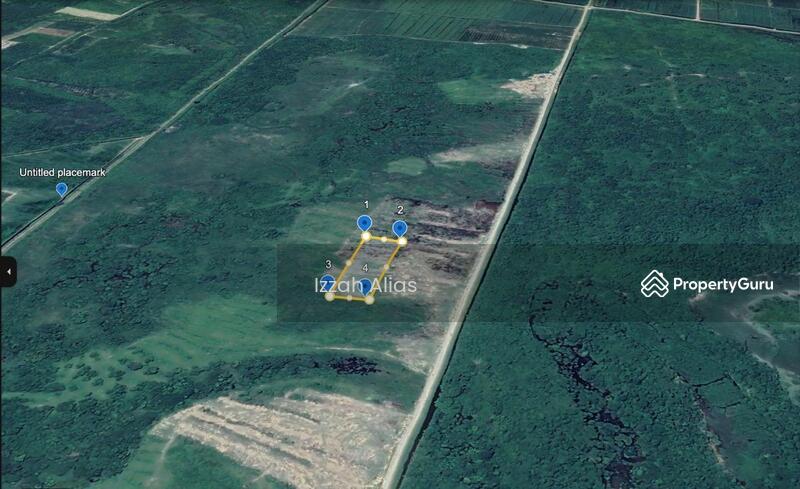 Untuk Dijual - 3 EKAR TANAH PERTANIAN Kubang Laka Ganchong Pekan, Pahang