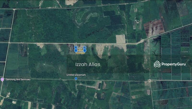 Untuk Dijual - 3 EKAR TANAH PERTANIAN Kubang Laka Ganchong Pekan, Pahang