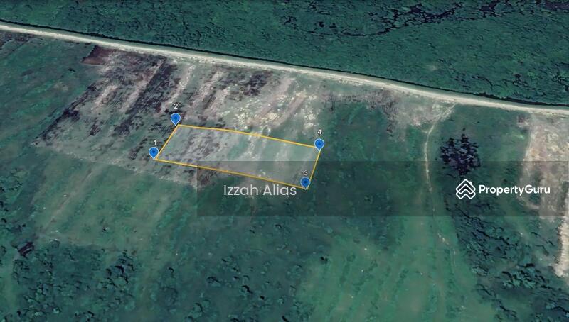 Untuk Dijual - 3 EKAR TANAH PERTANIAN Kubang Laka Ganchong Pekan, Pahang