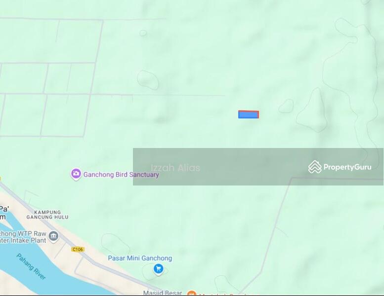 Untuk Dijual - 3 EKAR TANAH PERTANIAN Kubang Laka Ganchong Pekan, Pahang