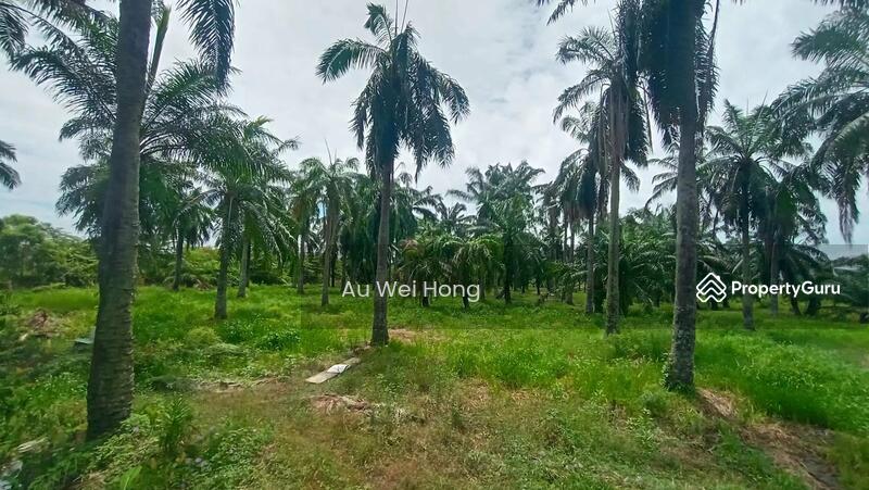 For Sale - Bukit Mertajam Freehold Industrial Land For Sale