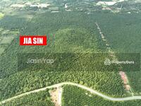 For Sale - Freehold 129.42acre Development Land for SALE @ Kuala Ketil, Kedah