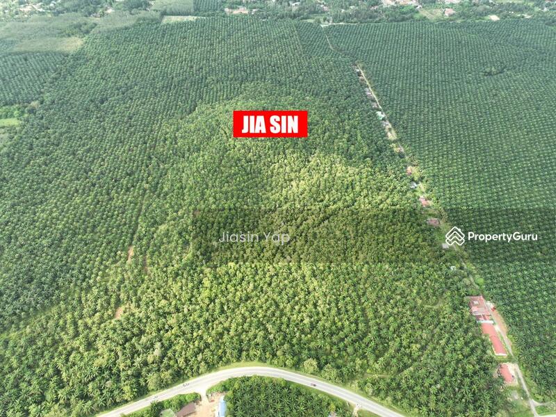 Agricultural Land for Sale in Taman Desa Bidara (Kuala Ketil) - Jiasin Yap - PropertyGuru.com.my