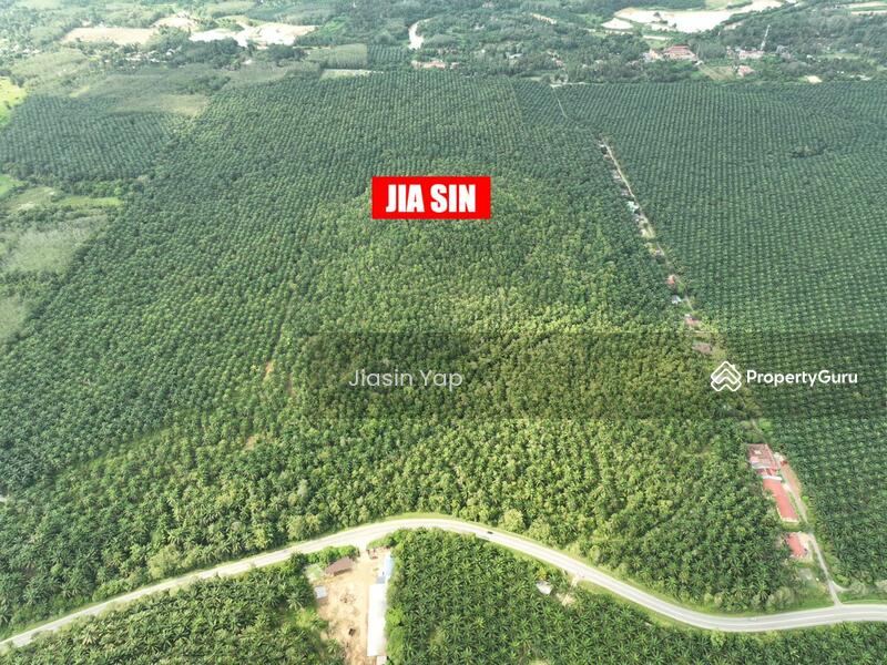 Agricultural Land for Sale in Taman Desa Bidara (Kuala Ketil) - Jiasin Yap - PropertyGuru.com.my