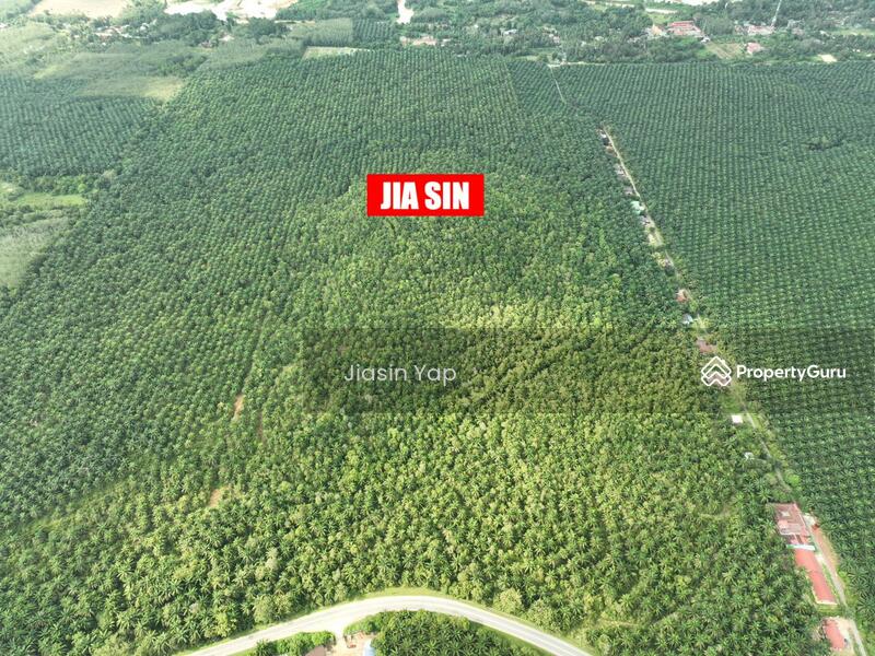 Agricultural Land for Sale in Taman Desa Bidara (Kuala Ketil) - Jiasin Yap - PropertyGuru.com.my