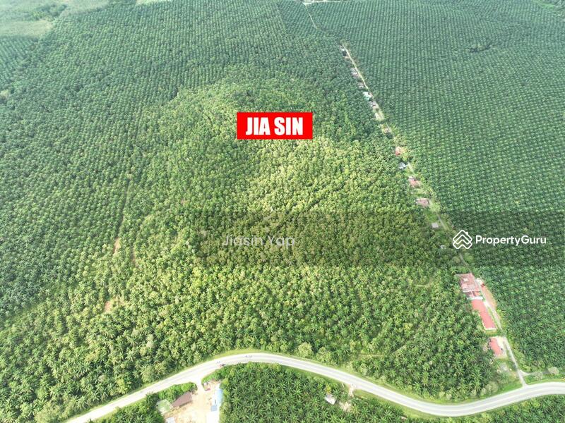Agricultural Land for Sale in Taman Desa Bidara (Kuala Ketil) - Jiasin Yap - PropertyGuru.com.my