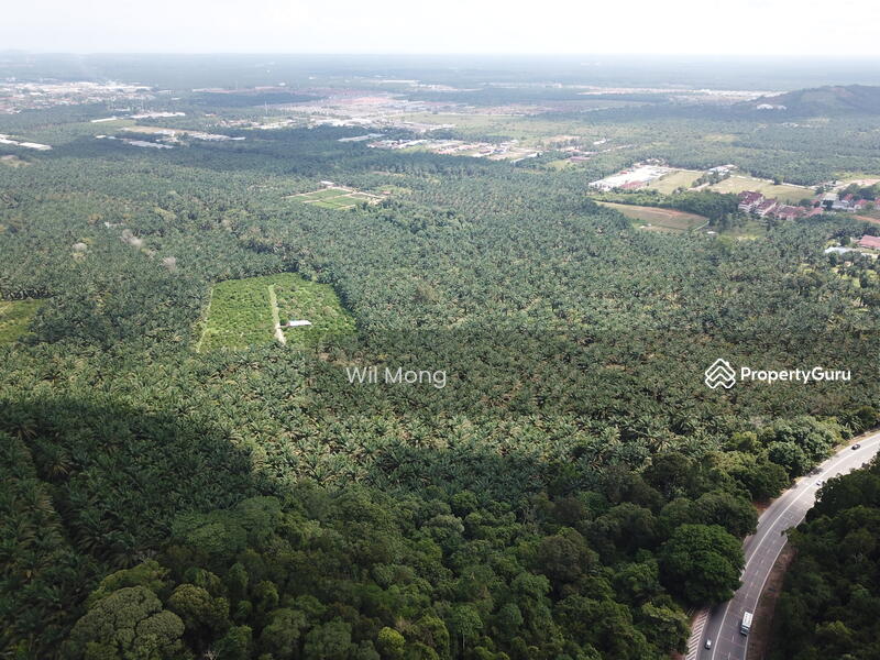 For Sale - kangkar tebrau