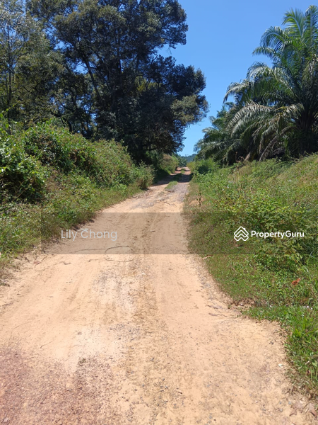 Agricultural Land for Sale in Kampung Lintang (Sungai Siput) - Lily Chong - PropertyGuru.com.my