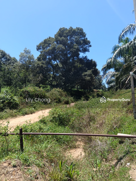 Agricultural Land for Sale in Kampung Lintang (Sungai Siput) - Lily Chong - PropertyGuru.com.my