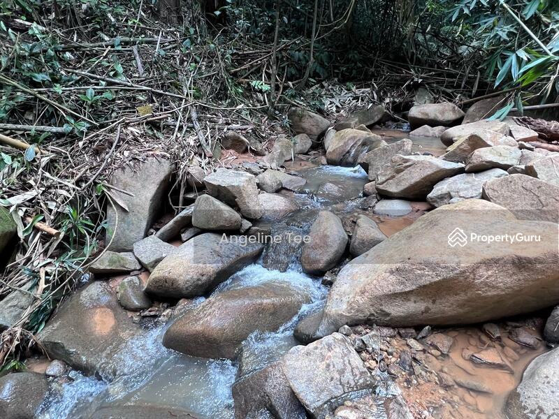 For Sale - Tanarimba
