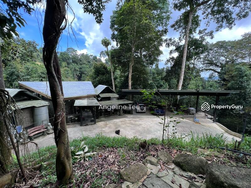 For Sale - Tanarimba