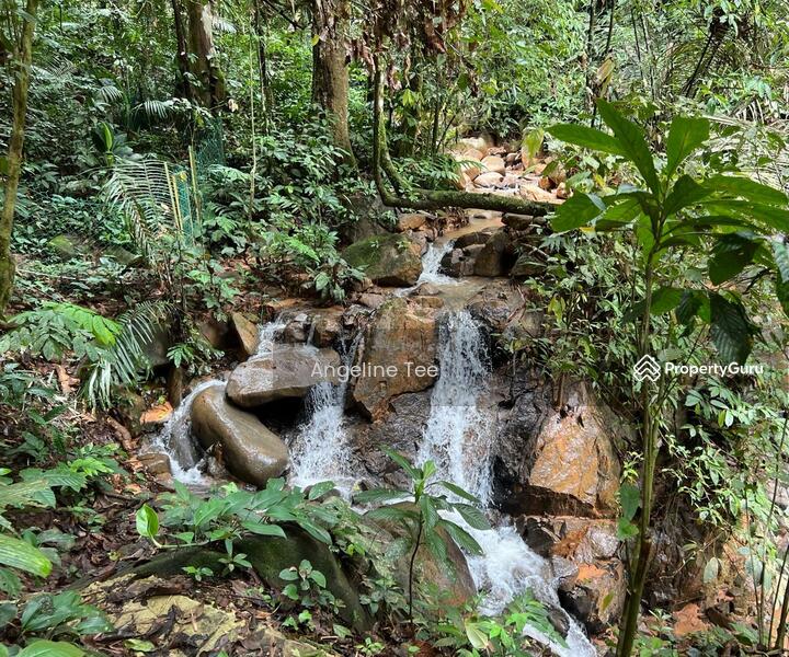 For Sale - Tanarimba
