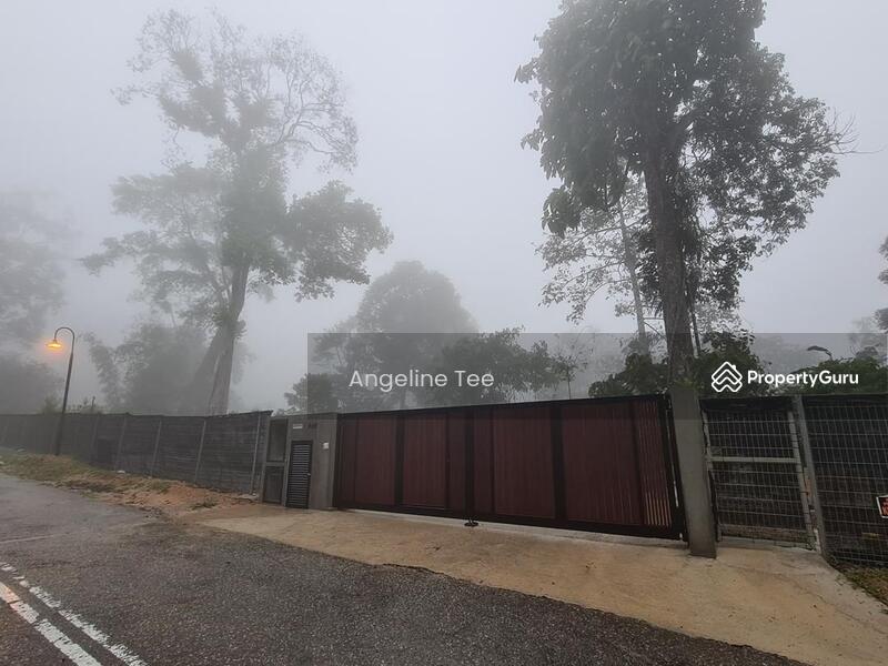 For Sale - Tanarimba