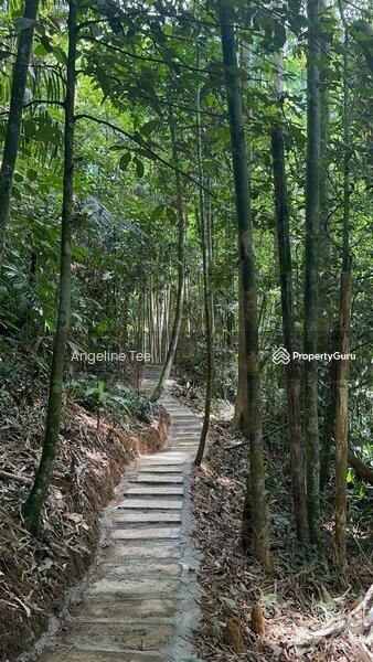 For Sale - Tanarimba