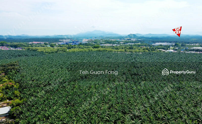 For Sale - 192 acres Industrial Land | Kuala Muda | Gurun | Kedah | RM12 psf