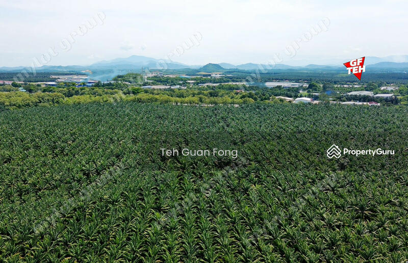 For Sale - 192 acres Industrial Land | Kuala Muda | Gurun | Kedah | RM12 psf