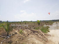 For Sale - 98.95 acres Residential Land Agricultural Land | Bedong | Kuala Muda | Kedah | Rm8 psf