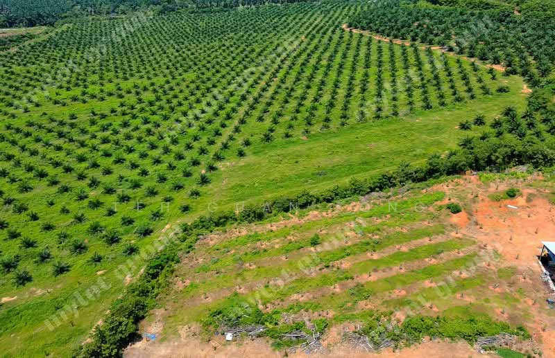 Residential Land for Sale in Taman Seri Semeling (Bedong) - Teh Guan Fong - PropertyGuru.com.my