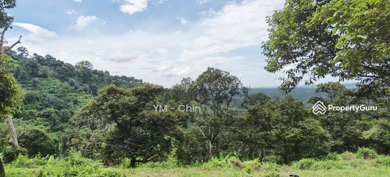 Untuk Dijual - Durian Orchard @ Cenderiang, Tapah