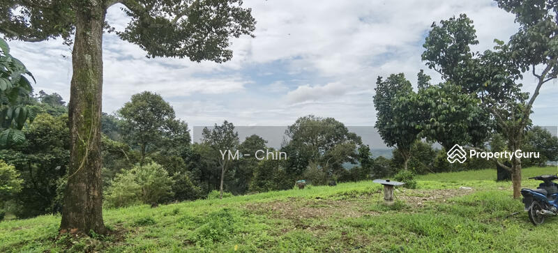 Untuk Dijual - Durian Orchard @ Cenderiang, Tapah