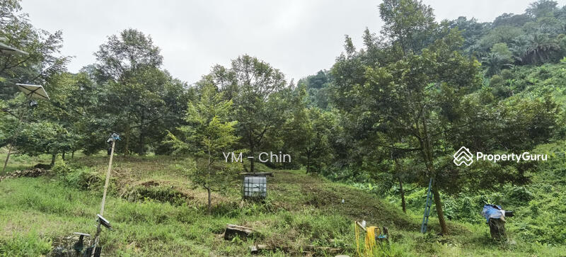 Untuk Dijual - Durian Orchard @ Cenderiang, Tapah