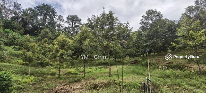 Untuk Dijual - Durian Orchard @ Cenderiang, Tapah