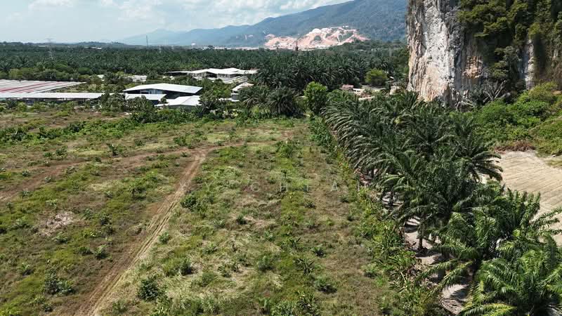 Agricultural Land for Sale in Kampung Kanthan (Chemor) - YY Cheah - PropertyGuru.com.my