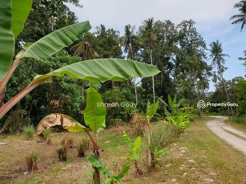 Agricultural Land for Sale in Pondok Upeh (Balik Pulau) - Sharon Goay - PropertyGuru.com.my