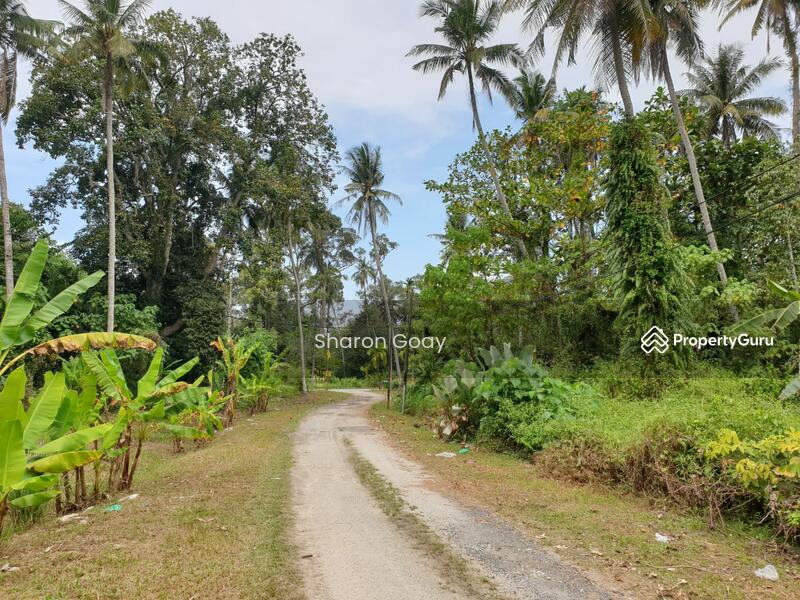Agricultural Land for Sale in Pondok Upeh (Balik Pulau) - Sharon Goay - PropertyGuru.com.my