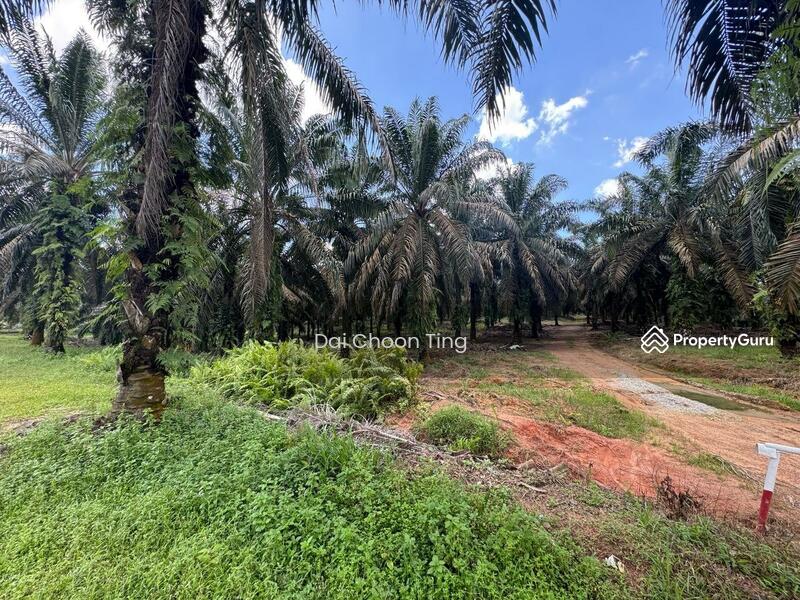 Kulai kulai Sedenak sedenak sedenak untuk Untuk Dijual - RM 1,002,402,720, Mac 2026 - PropertyGuru.com.my