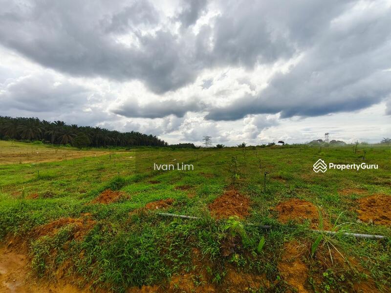 For Sale - Agriculture land at Senai
