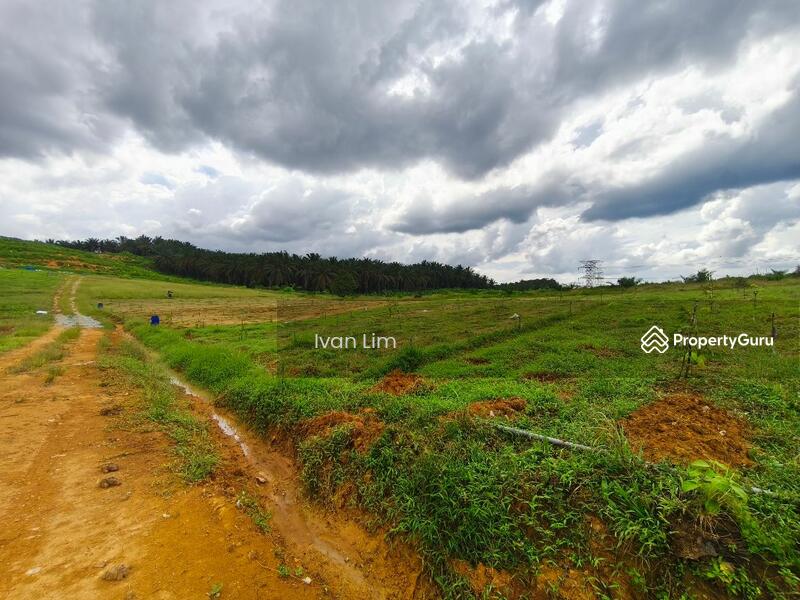 For Sale - Agriculture land at Senai