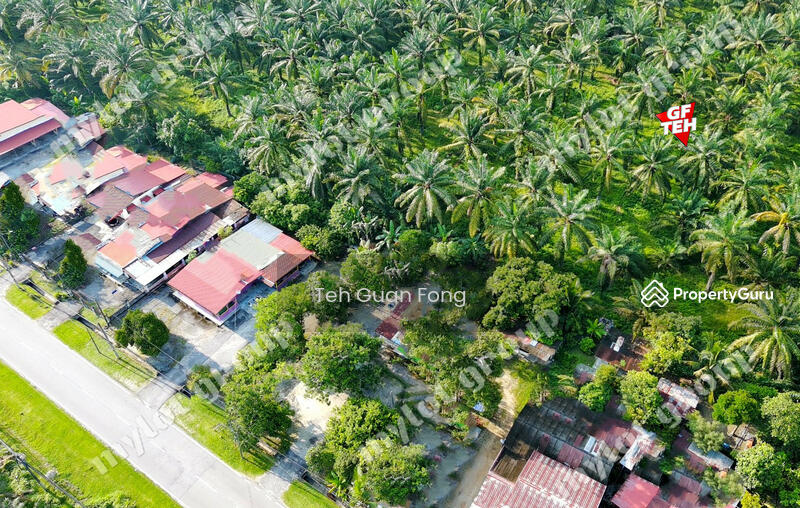 Tanah Pertanian untuk Dijual di Sungai Udang (Nibong Tebal) - Teh Guan Fong - PropertyGuru.com.my