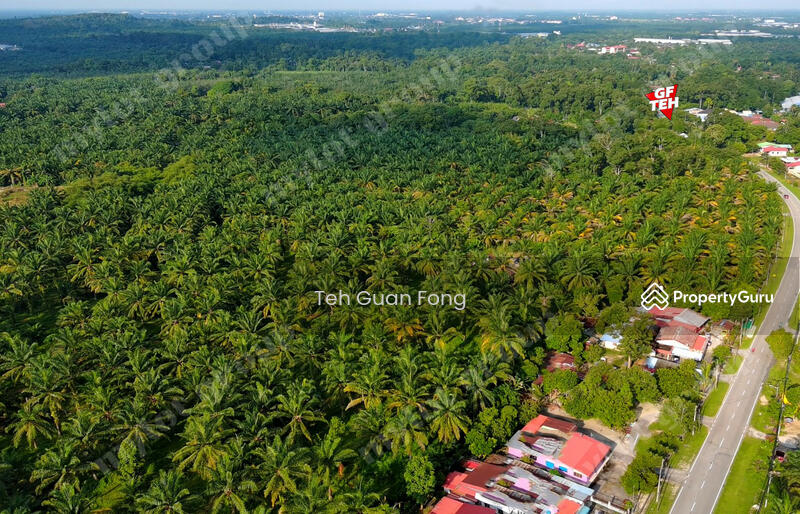 Tanah Pertanian untuk Dijual di Sungai Udang (Nibong Tebal) - Teh Guan Fong - PropertyGuru.com.my