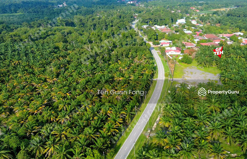 Tanah Pertanian untuk Dijual di Sungai Udang (Nibong Tebal) - Teh Guan Fong - PropertyGuru.com.my