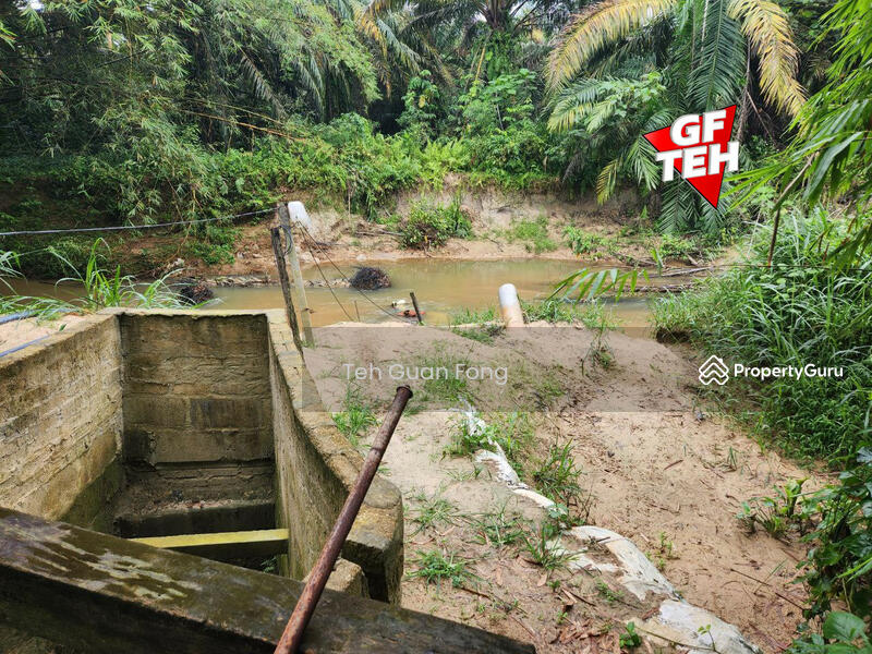 For Sale - 3 Big Fish Ponds with Extra Land | Nibong Tebal | Penang Rm14psf b