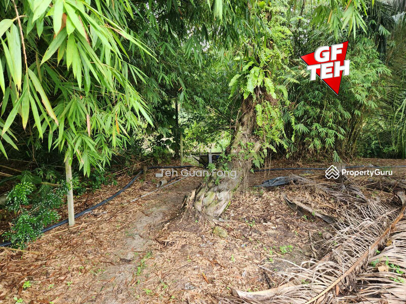 For Sale - 3 Big Fish Ponds with Extra Land | Nibong Tebal | Penang Rm14psf b