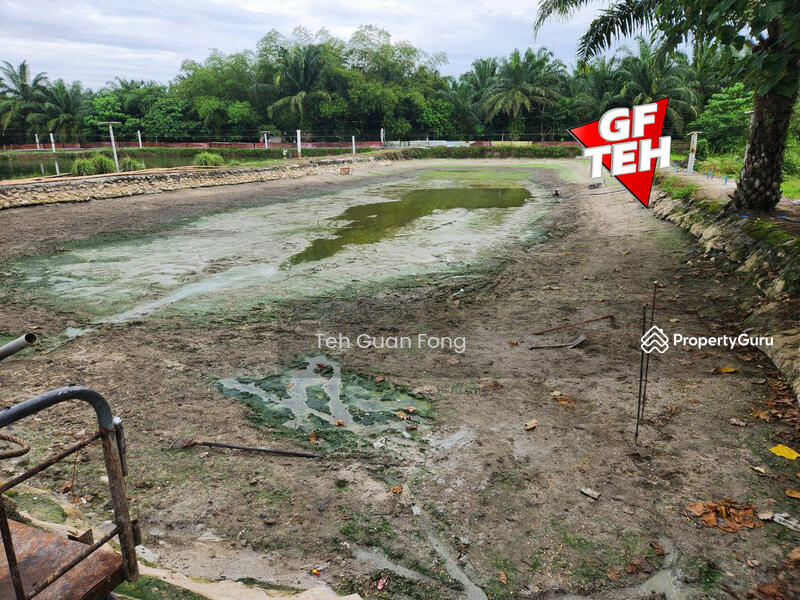 For Sale - 3 Big Fish Ponds with Extra Land | Nibong Tebal | Penang Rm14psf b