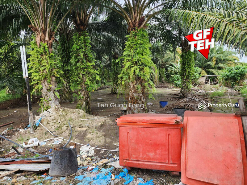 For Sale - 3 Big Fish Ponds with Extra Land | Nibong Tebal | Penang Rm14psf b