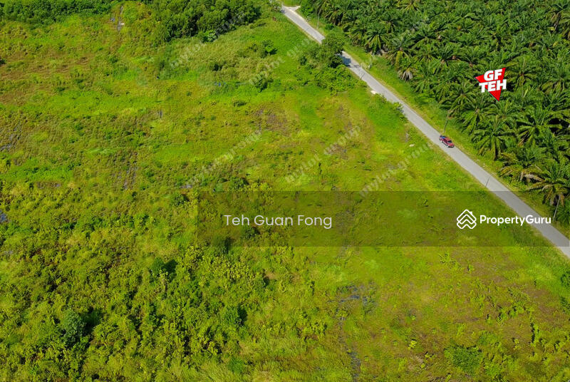 Tanah Perindustrian untuk Dijual di Kampung Permatang Tinggi (Bukit Mertajam) - Teh Guan Fong - PropertyGuru.com.my