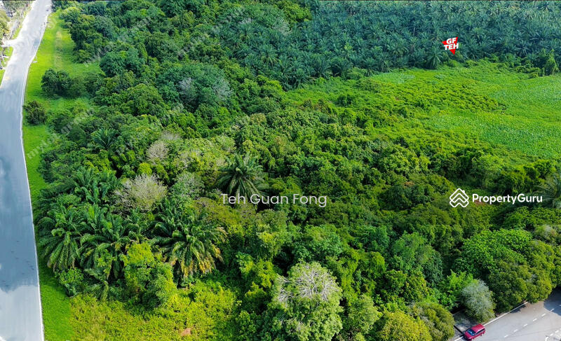 Tanah Perindustrian untuk Dijual di Kampung Permatang Tinggi (Bukit Mertajam) - Teh Guan Fong - PropertyGuru.com.my
