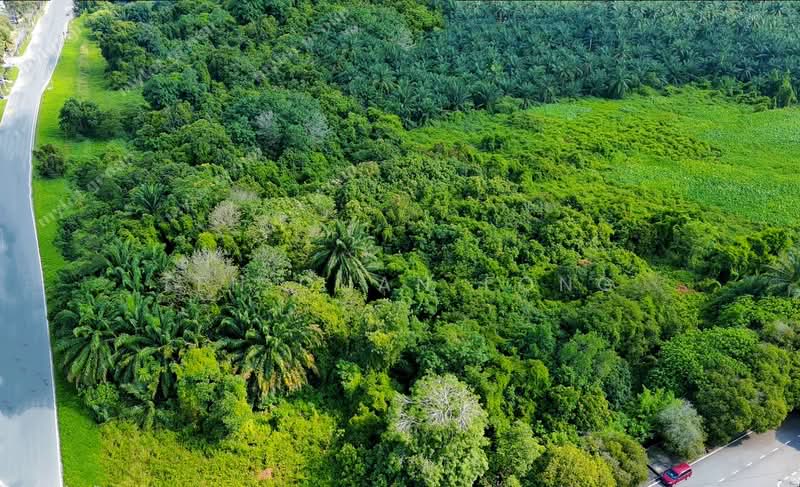 Tanah Perindustrian untuk Dijual di Kampung Permatang Tinggi (Bukit Mertajam) - Teh Guan Fong - PropertyGuru.com.my