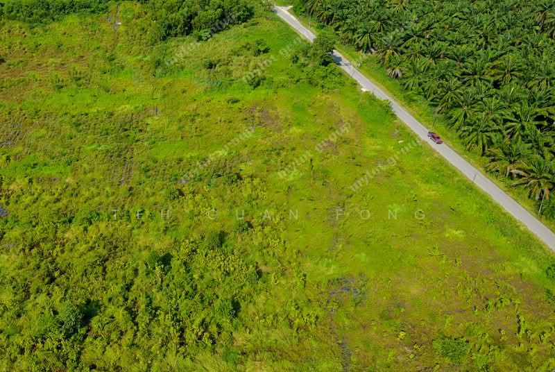Tanah Perindustrian untuk Dijual di Kampung Permatang Tinggi (Bukit Mertajam) - Teh Guan Fong - PropertyGuru.com.my
