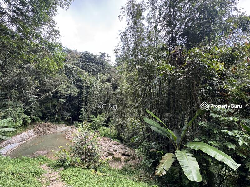 For Sale - Janda Baik Bentong Pahang Bungalow Lot For Sale.