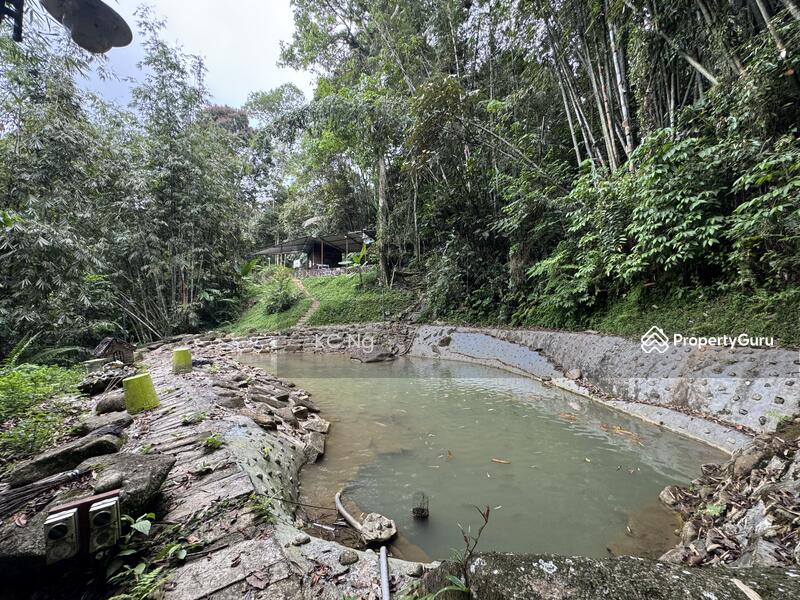 For Sale - Janda Baik Bentong Pahang Bungalow Lot For Sale.