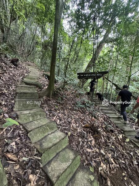 For Sale - Janda Baik Bentong Pahang Bungalow Lot For Sale.