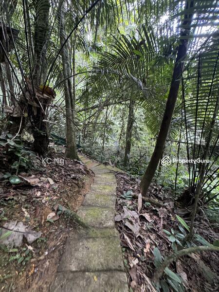 For Sale - Janda Baik Bentong Pahang Bungalow Lot For Sale.